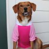 Color-Block Flex Fit Hoodie - Pink on Pink