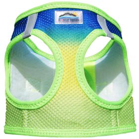 Cobalt Sport (Option: Medium)