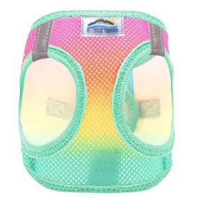 Beach Party (Option: Small)