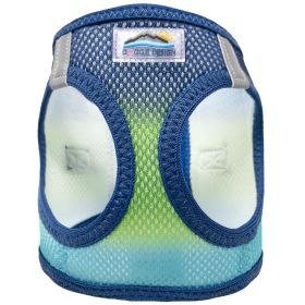 Northern Lights (Option: Small)
