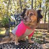 Color-Block Flex Fit Hoodie - Pink on Gray