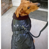Black Top Flight Coat